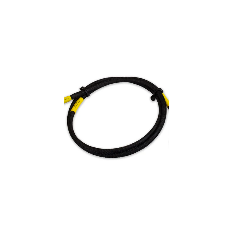 Faisceau adaptateur CD-7 vers Holley 2P CAN